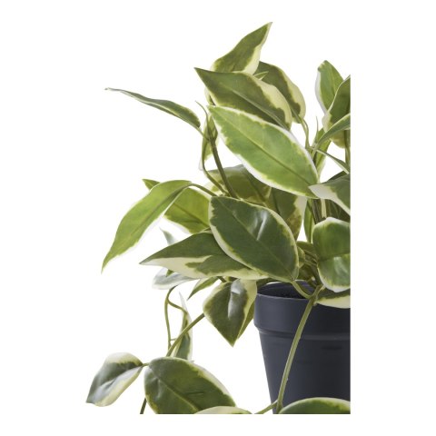 Sztuczna roślina Hoya 33 cm