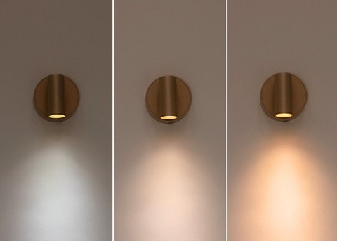 Lampa ścienna SHP PICKET złota