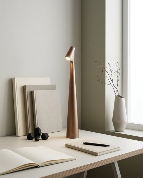 Lampka biurkowa / ogrodowa SHP SLIM brązowa