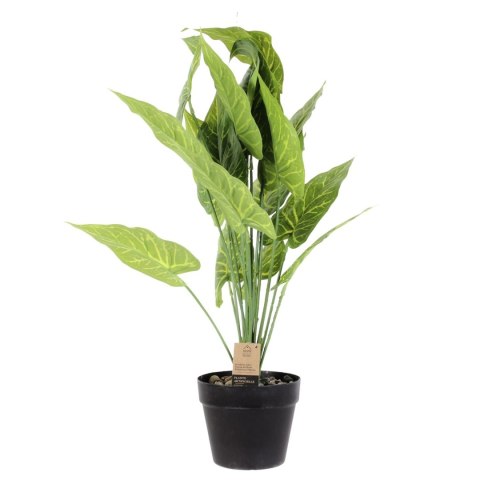 Sztuczna roślina Alocasia 55cm Sztuczna roślina Alocasia 55cm