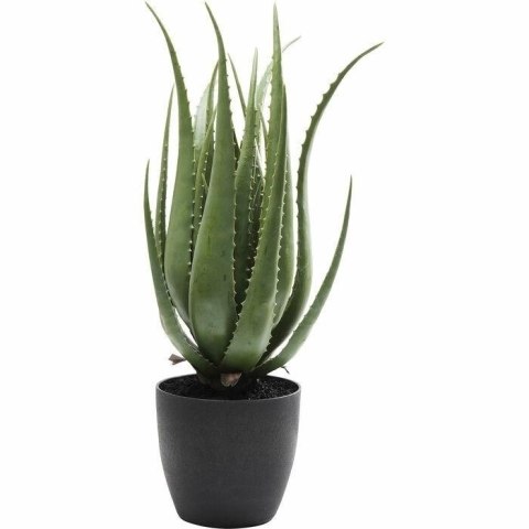 KARE roślina dekoracyjna ALOE 69 cm KARE roślina dekoracyjna ALOE 69 cm