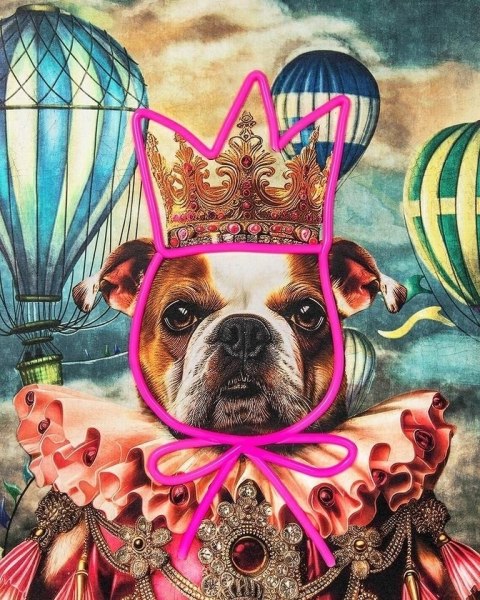 Obraz NEON BULLDOG BALOON 80x100 cm Obraz NEON BULLDOG BALOON 80x100 cm