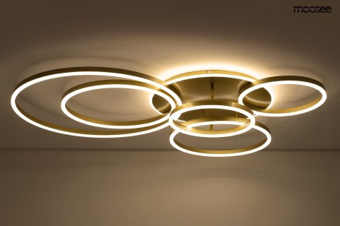 MOOSEE lampa sufitowa / plafon RINGS 6 złota MOOSEE lampa sufitowa / plafon RINGS 6 złota