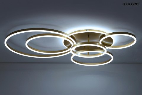 MOOSEE lampa sufitowa / plafon RINGS 6 złota MOOSEE lampa sufitowa / plafon RINGS 6 złota