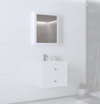 TORETO Szafka lustrzana 70x60/1D (MDF ramiak) biały